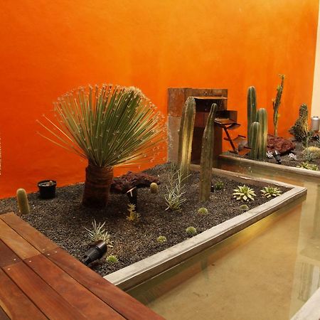 Coyoacán - Inn (Fine Guesthouse) Cidade do México Exterior foto